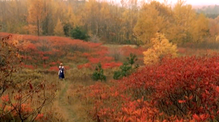 Anne of Green Gables, Week 1