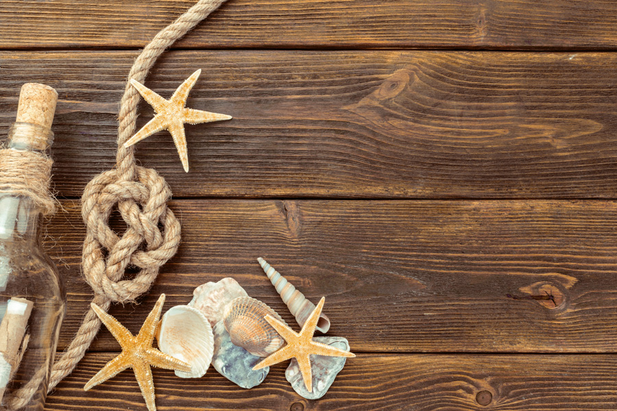 Letter from the Director: Wrapping up the Summer