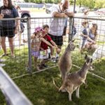 young children pet kangaroos in petting zoo