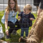 kids enjoying the petting zoo