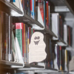 Ghost book shelf insert